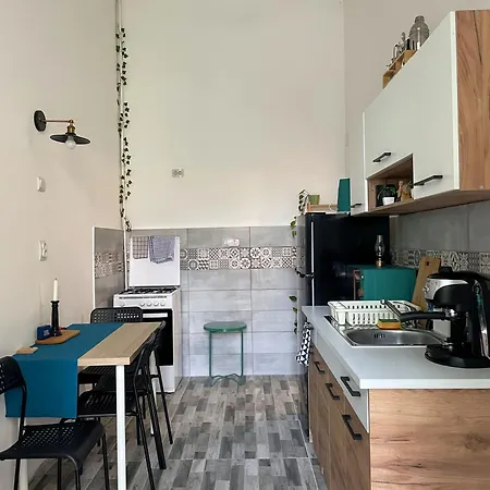 Small - Historic House 公寓 克卢日-纳波卡