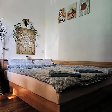 Small - Historic House 아파트 클루지나포카