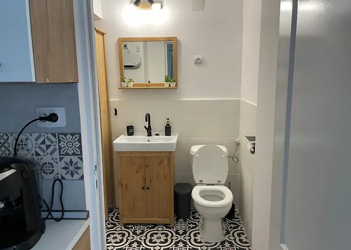 Small - Historic House Κλουζ-Ναπόκα